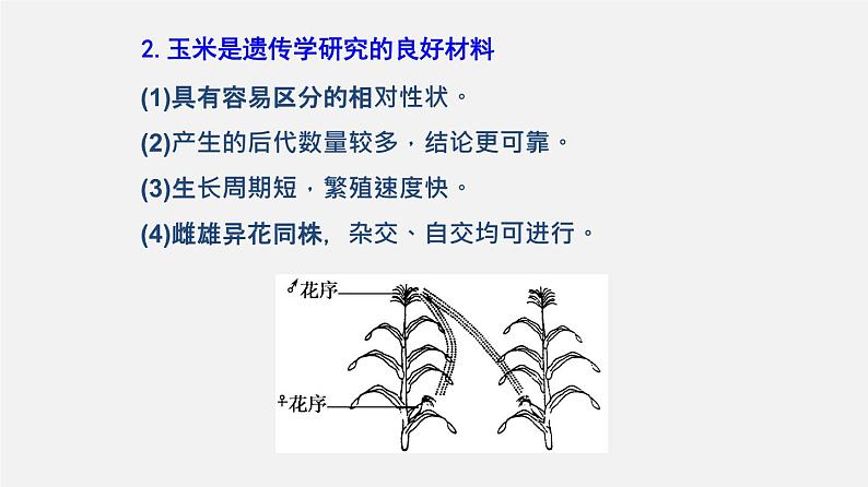 高中生物专题08 孟德尔遗传定律-2020年高考备考生物二轮复习课件第7页