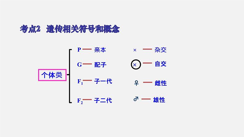 高中生物专题08 孟德尔遗传定律-2020年高考备考生物二轮复习课件第8页