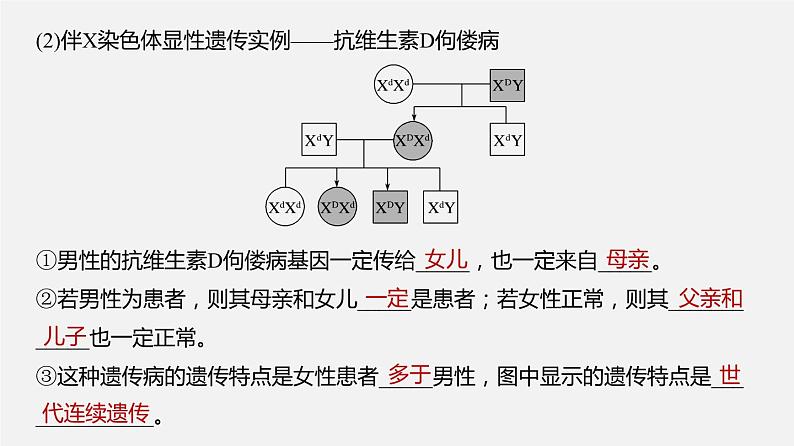 高中生物专题09 伴性遗传和人类遗传病-2020年高考备考生物二轮复习课件第5页