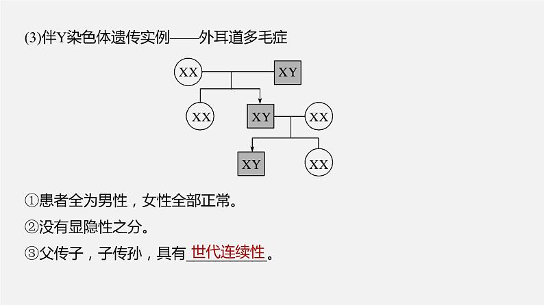 高中生物专题09 伴性遗传和人类遗传病-2020年高考备考生物二轮复习课件第6页