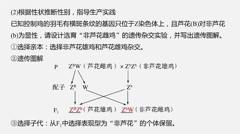 高中生物专题09 伴性遗传和人类遗传病-2020年高考备考生物二轮复习课件第8页