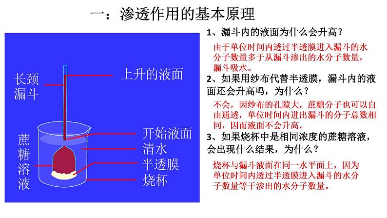 高中生物专题10.1 物质跨膜运输的实例和方式-2021年高考生物一轮复习知识精讲课件第3页