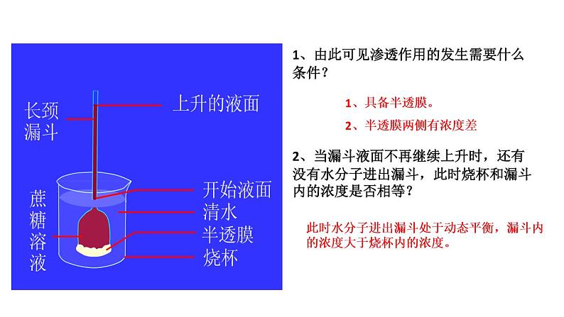 高中生物专题10.1 物质跨膜运输的实例和方式-2021年高考生物一轮复习知识精讲课件第4页