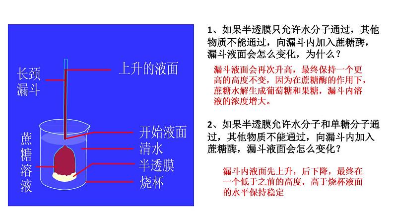 高中生物专题10.1 物质跨膜运输的实例和方式-2021年高考生物一轮复习知识精讲课件第5页