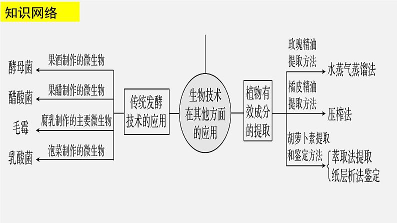 高中生物专题21 生物技术的其它应用-2020年高考备考生物二轮复习课件第3页