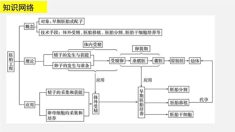 高中生物专题24 胚胎工程-2020年高考备考生物二轮复习课件第3页