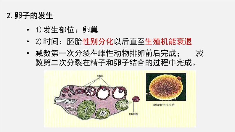 高中生物专题24 胚胎工程-2020年高考备考生物二轮复习课件第8页