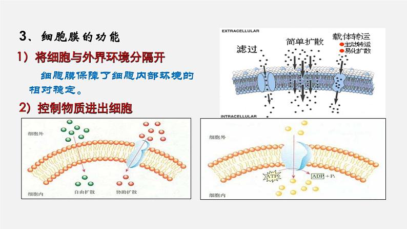 高中生物专题02 细胞的结构和功能-2020年高考备考生物二轮复习课件05