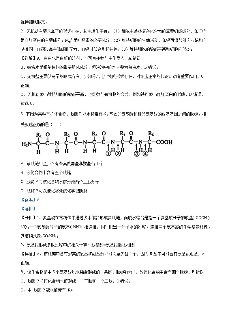 江苏省徐州市2021-2022学年高一生物上学期期末试题（Word版附答案）02