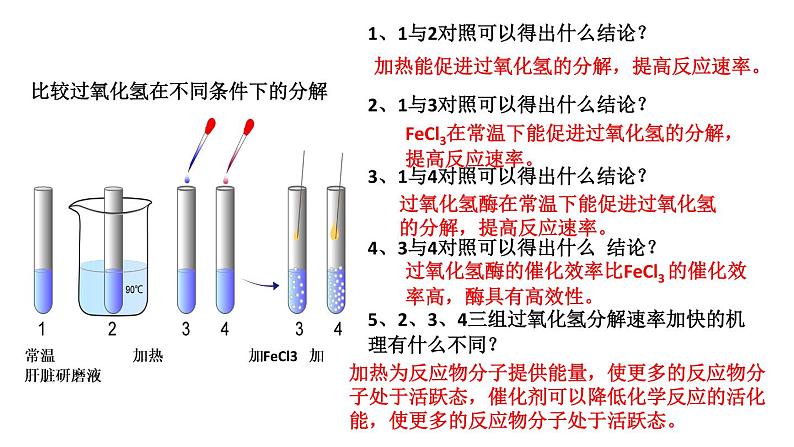 高中生物专题12.1 降低化学反应活化能的酶-2021年高考生物一轮复习知识精讲课件第5页