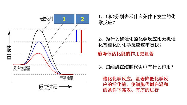 高中生物专题12.1 降低化学反应活化能的酶-2021年高考生物一轮复习知识精讲课件第7页