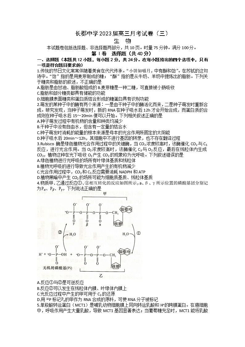 湖南省长沙市长郡中学2022-2023学年高三生物上学期第三次月考试题（Word版附答案）01
