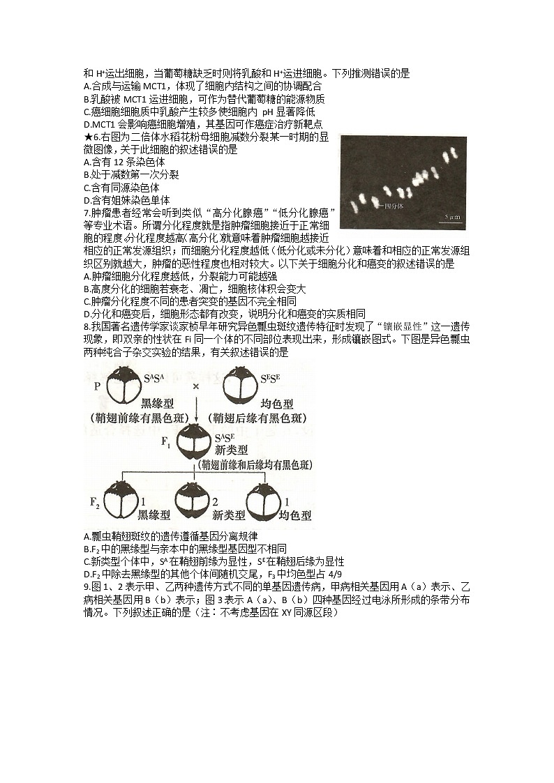 湖南省长沙市长郡中学2022-2023学年高三生物上学期第三次月考试题（Word版附答案）02