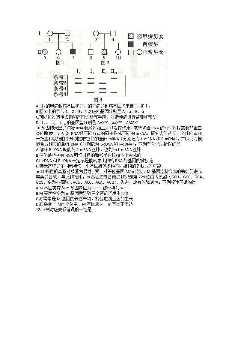 湖南省长沙市长郡中学2022-2023学年高三生物上学期第三次月考试题（Word版附答案）03