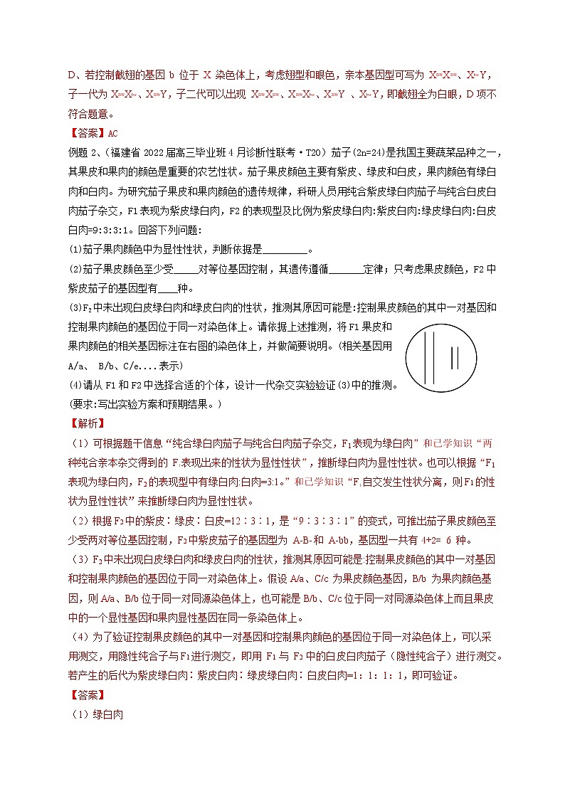 易错点15 关于基因定位实验设计的遗传题-备战高考生物考试易错题（全国通用）02