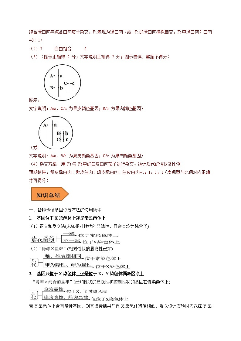 易错点15 关于基因定位实验设计的遗传题-备战高考生物考试易错题（全国通用）03