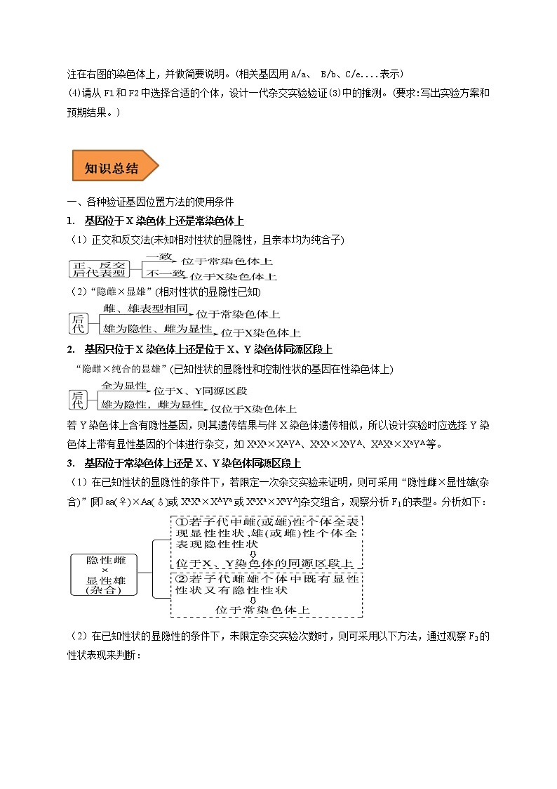 易错点15 关于基因定位实验设计的遗传题-备战高考生物考试易错题（全国通用）02