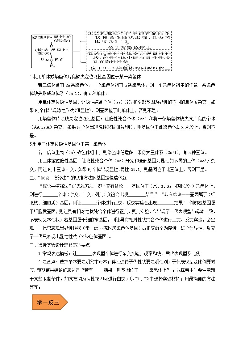 易错点15 关于基因定位实验设计的遗传题-备战高考生物考试易错题（全国通用）03