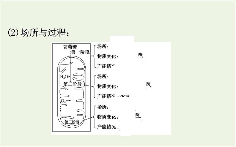 高中生物2020届高考生物一轮复习3.2ATP的主要来源__细胞呼吸课件06