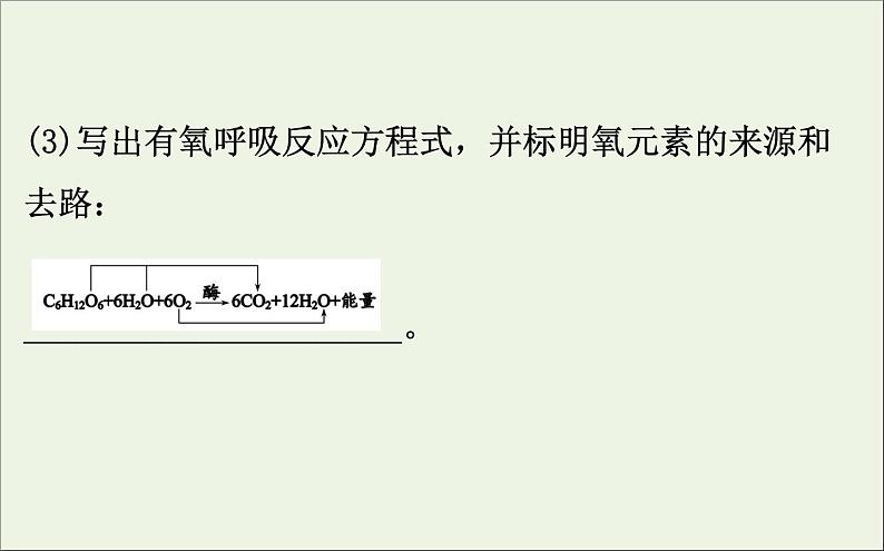 高中生物2020届高考生物一轮复习3.2ATP的主要来源__细胞呼吸课件07