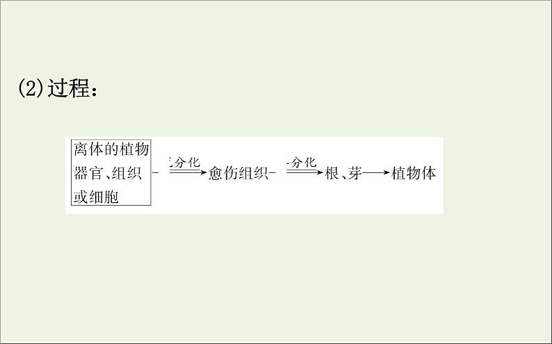 高中生物2020届高考生物一轮复习3.2植物细胞工程课件选修第8页