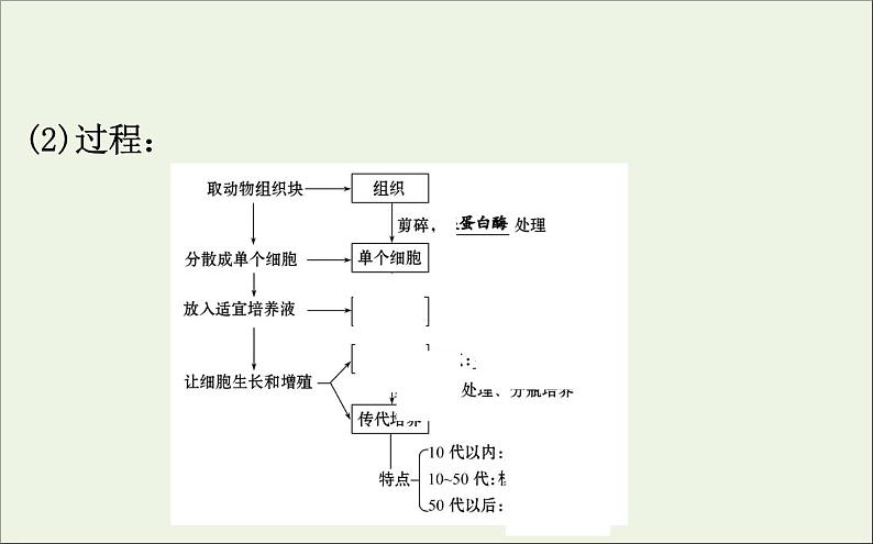 高中生物2020届高考生物一轮复习3.3动物细胞工程课件选修05