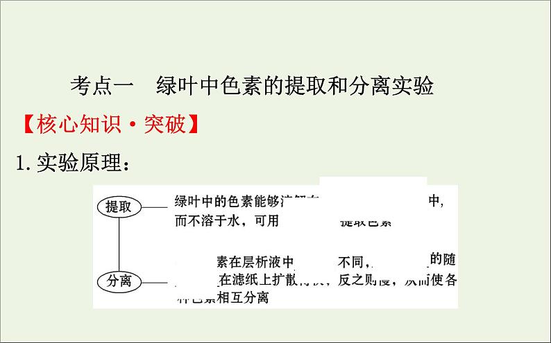 高中生物2020届高考生物一轮复习3.3能量之源__光与光合作用一课件第4页