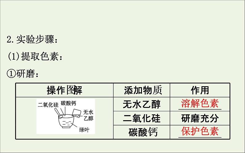 高中生物2020届高考生物一轮复习3.3能量之源__光与光合作用一课件第5页