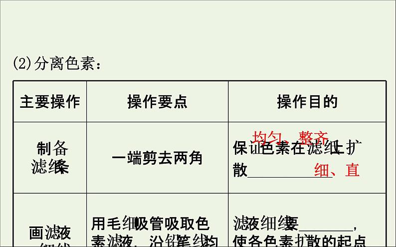 高中生物2020届高考生物一轮复习3.3能量之源__光与光合作用一课件第7页