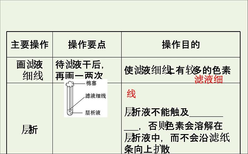 高中生物2020届高考生物一轮复习3.3能量之源__光与光合作用一课件第8页