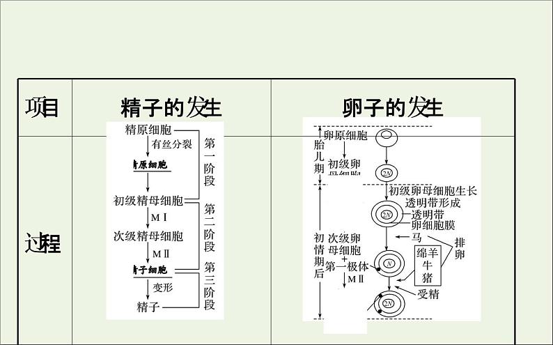 高中生物2020届高考生物一轮复习3.4胚胎工程与生物技术的安全性和伦理问题课件选修第5页