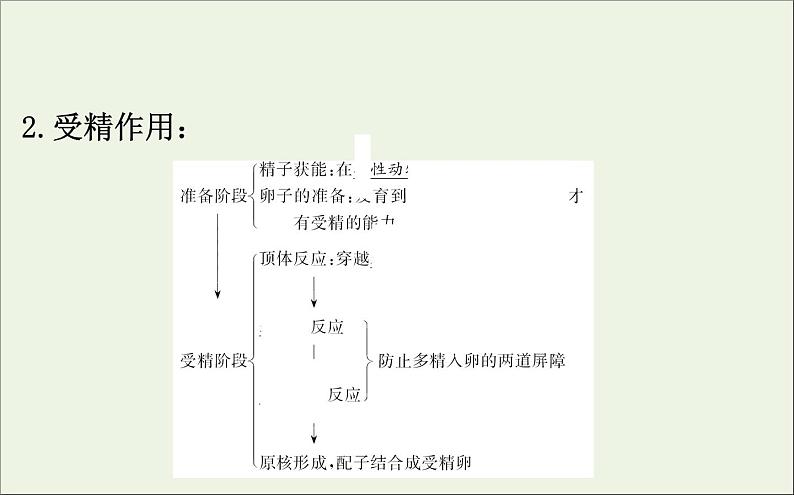 高中生物2020届高考生物一轮复习3.4胚胎工程与生物技术的安全性和伦理问题课件选修第7页