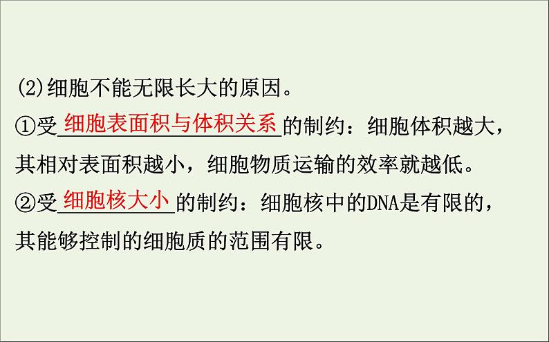 高中生物2020届高考生物一轮复习4.1细胞的有丝分裂课件第7页