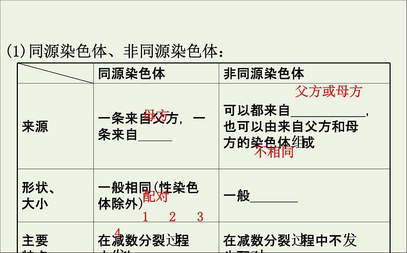 高中生物2020届高考生物一轮复习4.2细胞的减数分裂及受精作用课件07