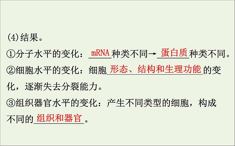 高中生物2020届高考生物一轮复习4.3细胞的分化衰老凋亡和癌变课件06