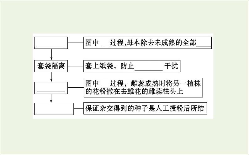 高中生物2020届高考生物一轮复习5.1孟德尔的豌豆杂交实验一课件第7页