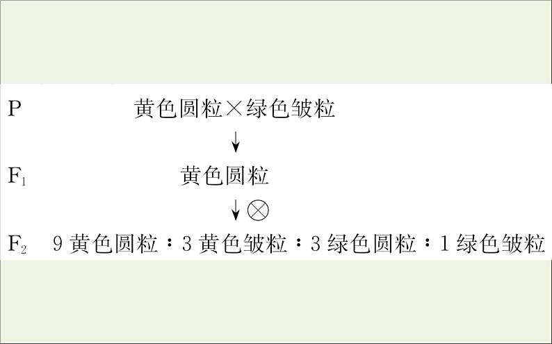 高中生物2020届高考生物一轮复习5.2孟德尔的豌豆杂交实验二课件第5页