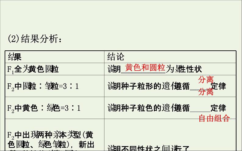 高中生物2020届高考生物一轮复习5.2孟德尔的豌豆杂交实验二课件第6页