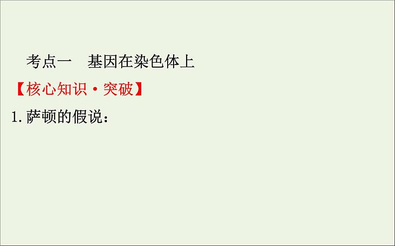 高中生物2020届高考生物一轮复习5.3基因在染色体上和伴性遗传课件第4页