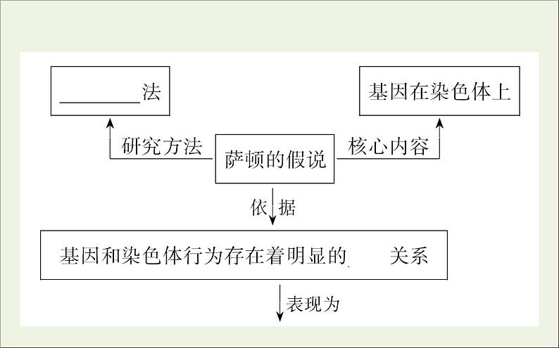 高中生物2020届高考生物一轮复习5.3基因在染色体上和伴性遗传课件第5页