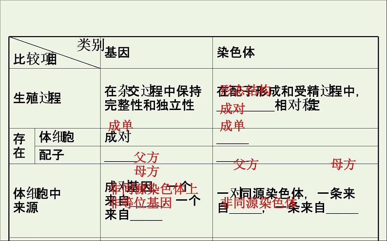 高中生物2020届高考生物一轮复习5.3基因在染色体上和伴性遗传课件第6页