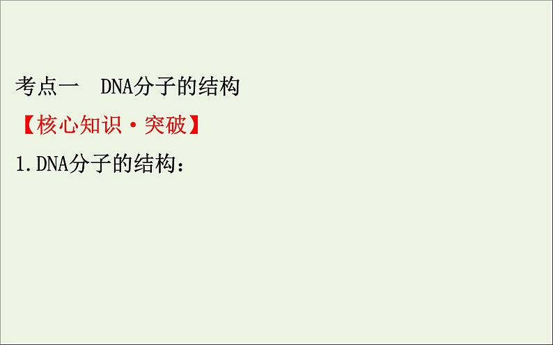 高中生物2020届高考生物一轮复习6.2DNA分子的结构复制和基因的本质课件04