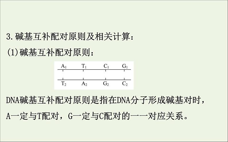 高中生物2020届高考生物一轮复习6.2DNA分子的结构复制和基因的本质课件08