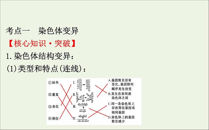 高中生物2020届高考生物一轮复习7.2染色体变异与生物育种课件第4页