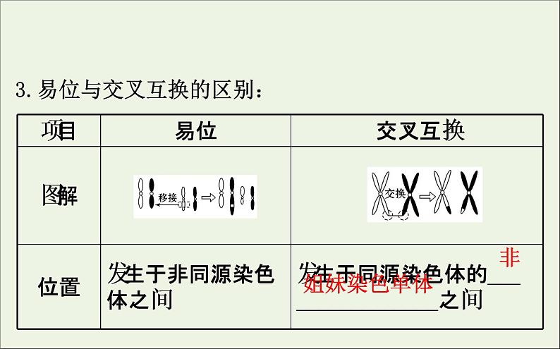 高中生物2020届高考生物一轮复习7.2染色体变异与生物育种课件第7页