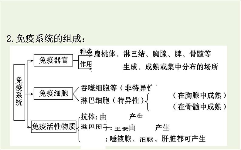 高中生物2020届高考生物一轮复习8.4免疫调节课件05