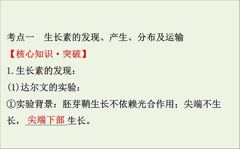 高中生物2020届高考生物一轮复习8.5植物的激素调节课件04