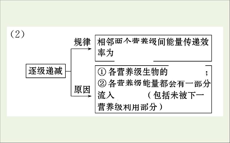 高中生物2020届高考生物一轮复习9.4生态系统的能量流动和物质循环课件第8页