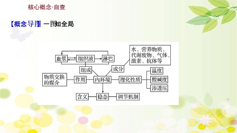 高中生物2022届新教材一轮复习人教版 第八单元 第1课 人体的内环境与稳态 课件第3页