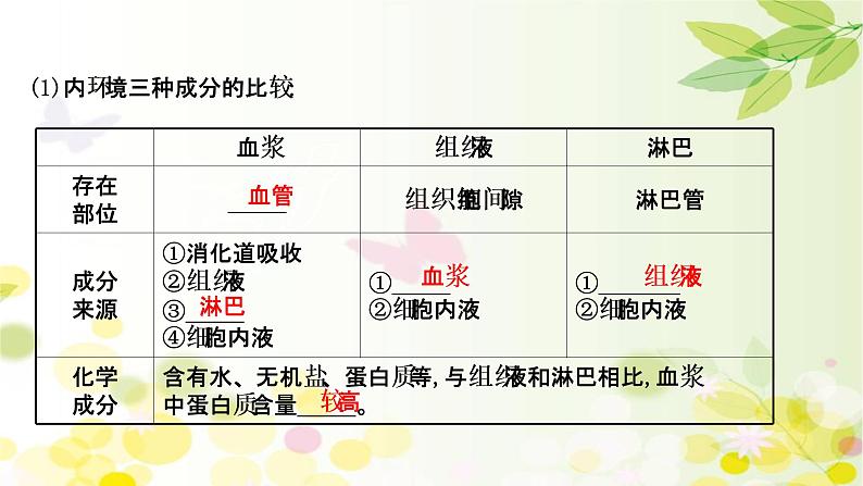 高中生物2022届新教材一轮复习人教版 第八单元 第1课 人体的内环境与稳态 课件第5页